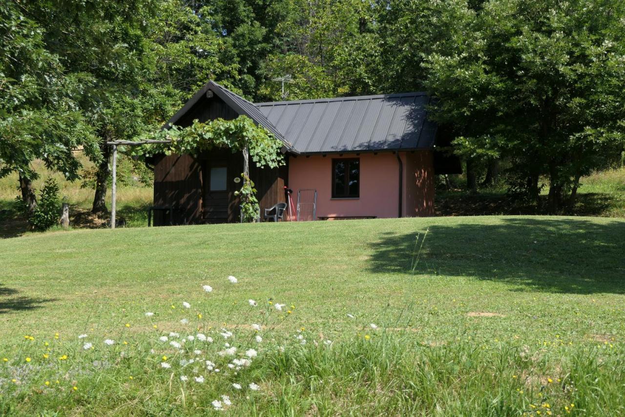 Agriturismo Braccicorti Pieve Fosciana Exterior photo