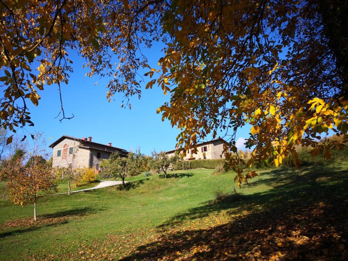 Agriturismo Braccicorti Pieve Fosciana Exterior photo